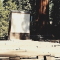 Giant Forest Amphitheater