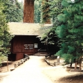 Giant Forest Dining Room