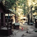 The Rustic Cabins at Giant Forest Lodge