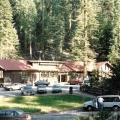 The Giant Forest General Store 1986