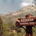 The Sequoia Sign