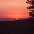 Sequoia Sunset