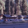 The Giant Forest General Store 1960