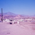 Desert Shores'  Prehistoric Backdrop