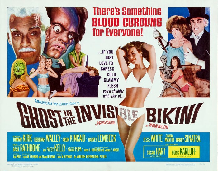Ghost in the Invisible Bikini