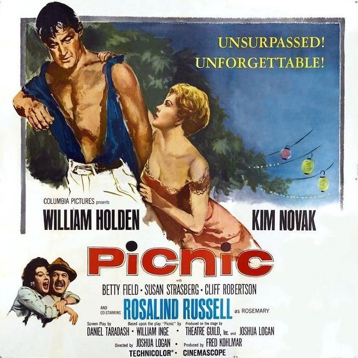 Picnic Movie Poster