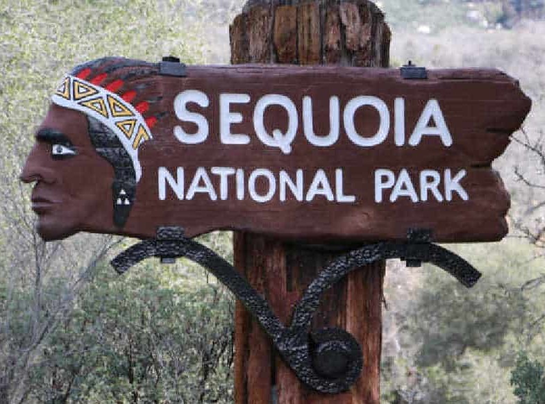 Sequoia Sign