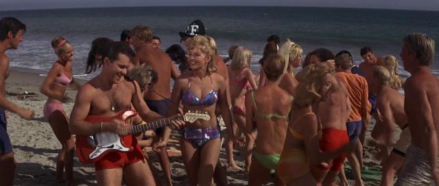 How to Stuff a Wild Bikini